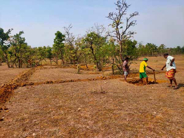 Recent field activities