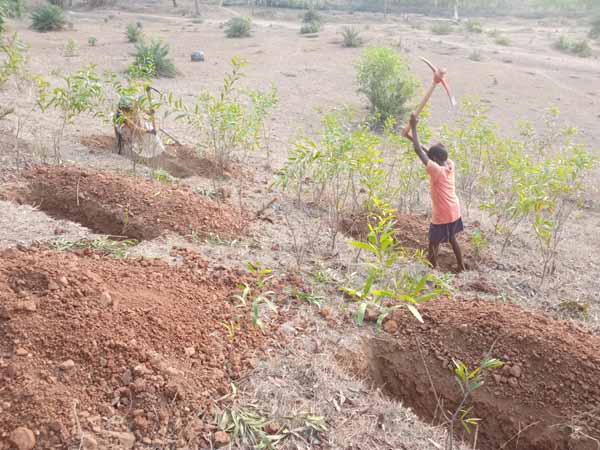 Recent field activities