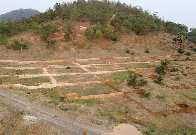 Recent field activities