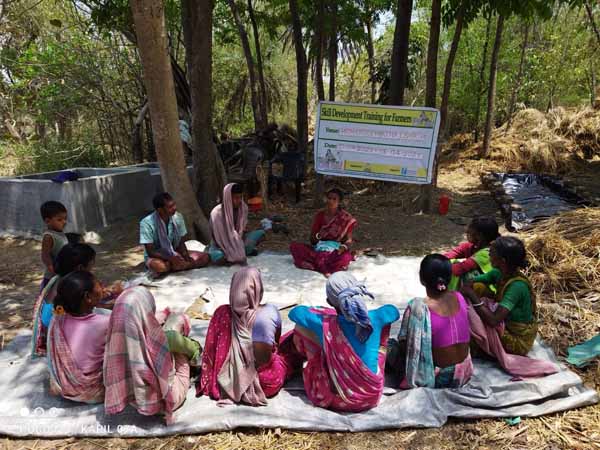 Recent field activities