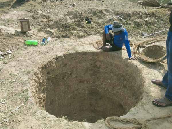 Recent field activities