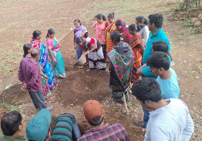 Recent field activities