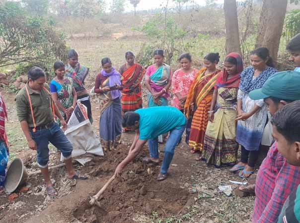 Recent field activities