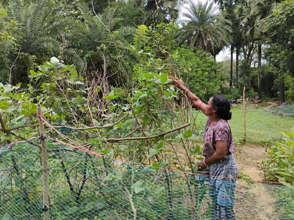 Recent field activities