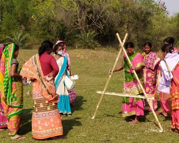 Recent field activities