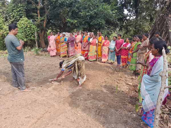 Recent field activities