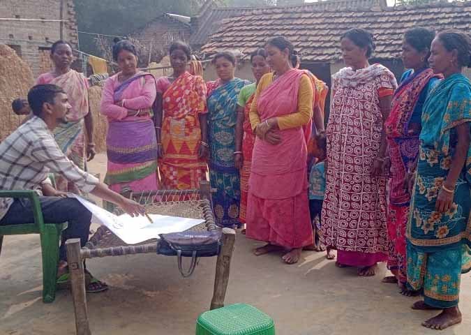 Recent field activities