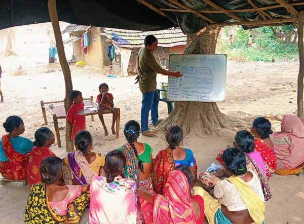 Recent field activities