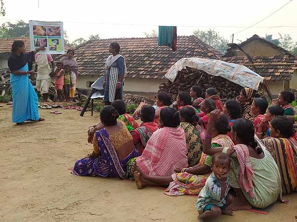 Recent field activities