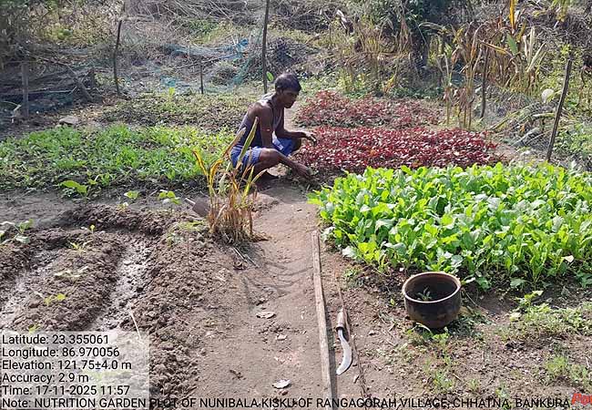 Recent field activities