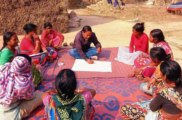 Recent field activities