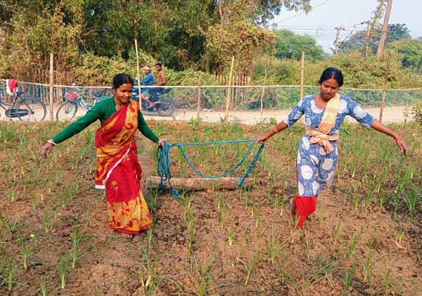 Recent field activities