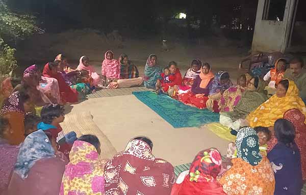 Recent field activities