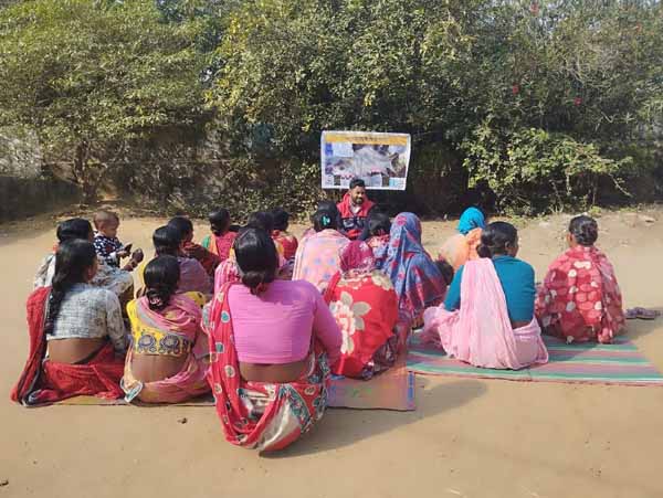 Recent field activities