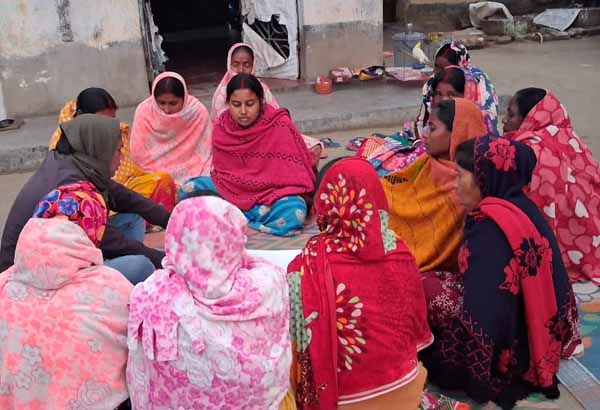 Recent field activities