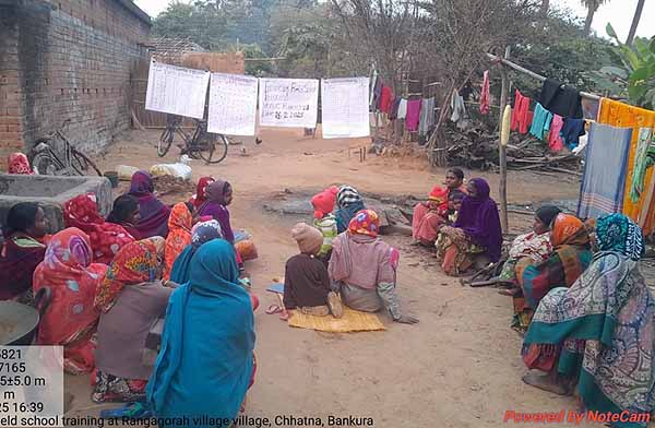 Recent field activities