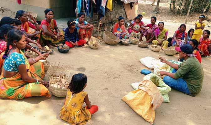 Recent field activities