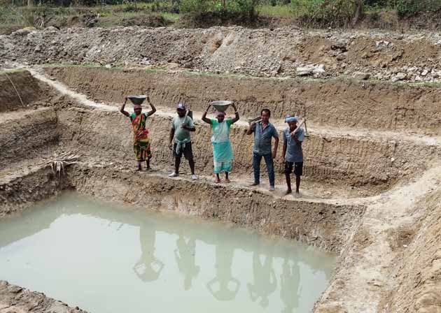 Recent field activities