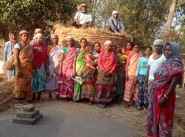 Recent field activities