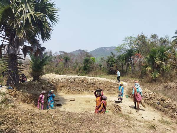 Recent field activities