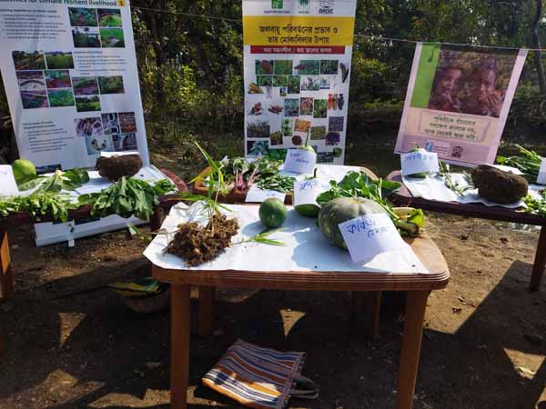 Recent field activities
