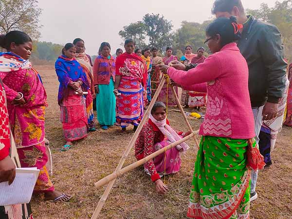 Recent field activities