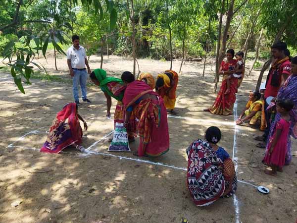 Recent field activities