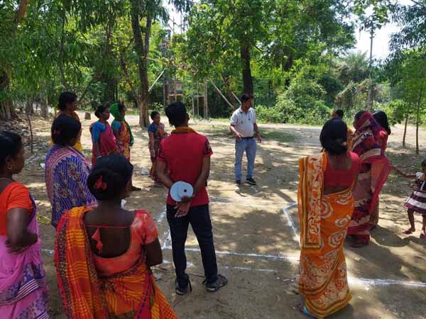 Recent field activities