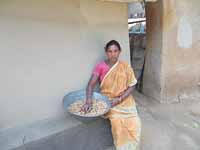 Parthasarathi Mondal a prize winner farmer of Bankura