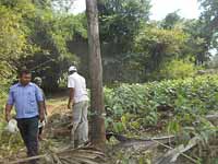 Parthasarathi Mondal a prize winner farmer of Bankura