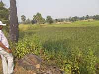 Parthasarathi Mondal a prize winner farmer of Bankura