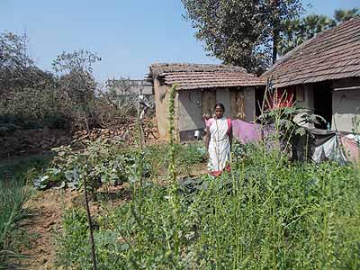 Farmer name: Mongali Kisku of Bankura