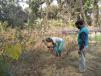 Farmer: Sukhdeb Hansda