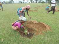 Social forestry: Purulia