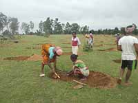 Social forestry: Purulia