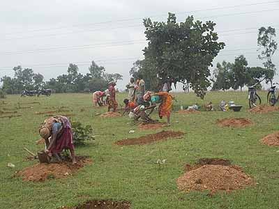 Social forestry: Purulia