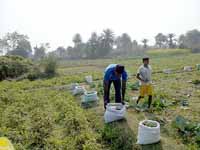 NABARD project area activities at Purulia