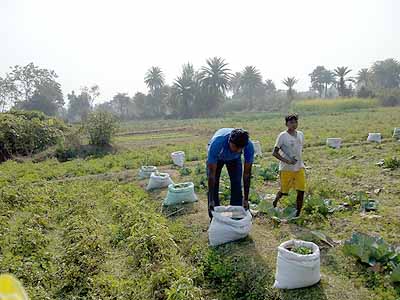 NABARD project area activities at Purulia