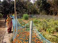 NABARD project area activities at Purulia