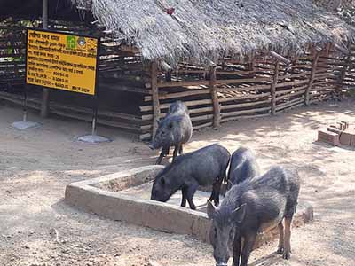 NABARD project area activities at Bankura and Purulia