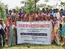 Green College Training Session