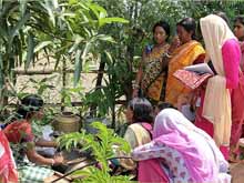 Green College Training Session