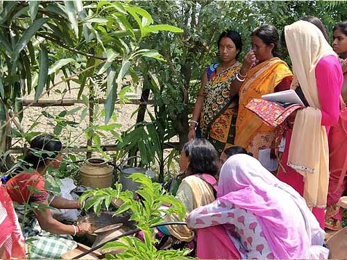 Green College Training Session