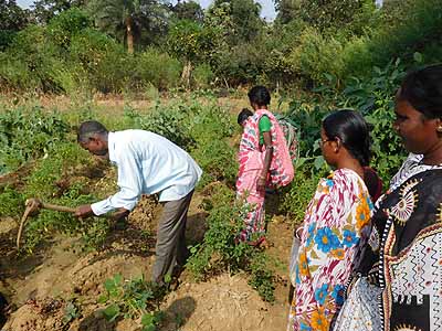 Green College Training Session
