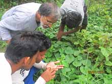 Green College Training Session