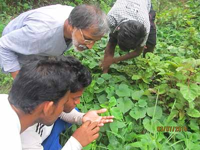 Green College Training Session