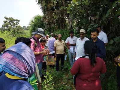 Green College Training Session