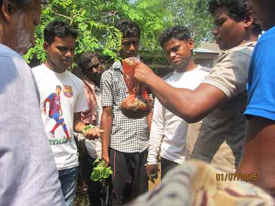 Green College Training Session