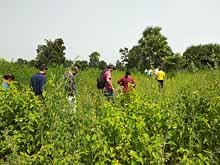 Green College Training Session