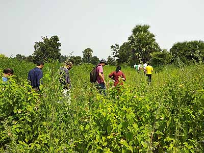 Green College Training Session